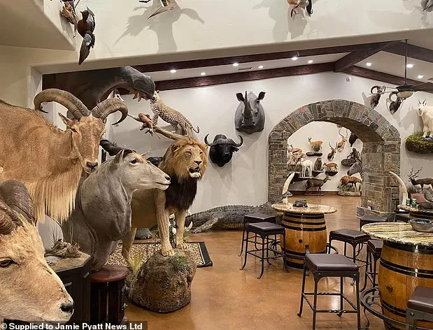 5头大象踩死美千万富豪 评论区却刷屏“报应”