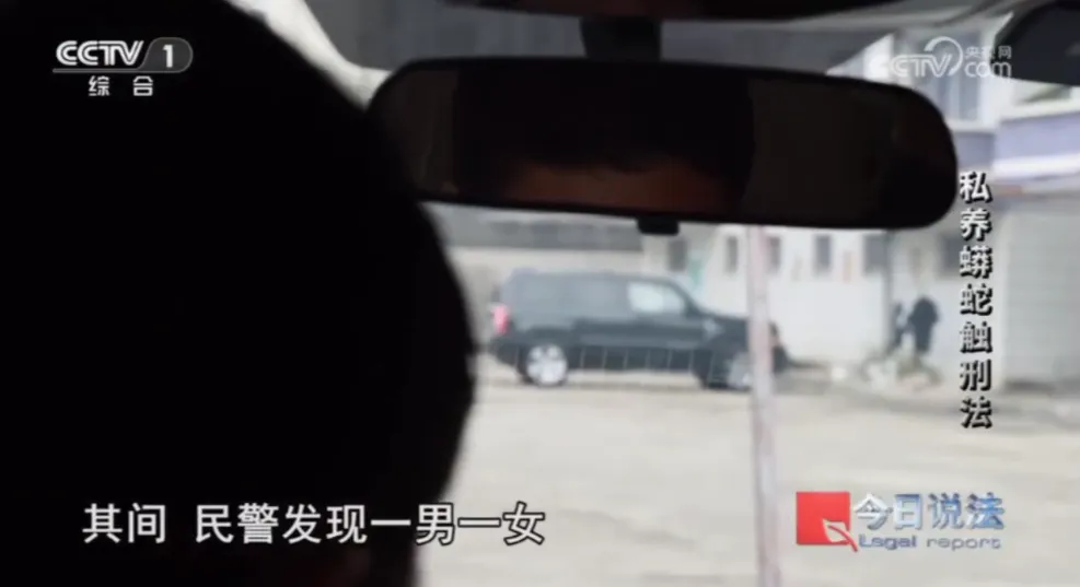 毛骨悚然!男子小区里养300多条蟒蛇 毛骨悚然!男子小区里养300多条蟒蛇