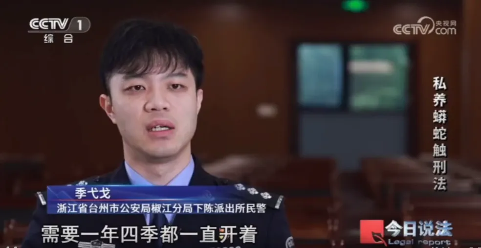 毛骨悚然!男子小区里养300多条蟒蛇 毛骨悚然!男子小区里养300多条蟒蛇