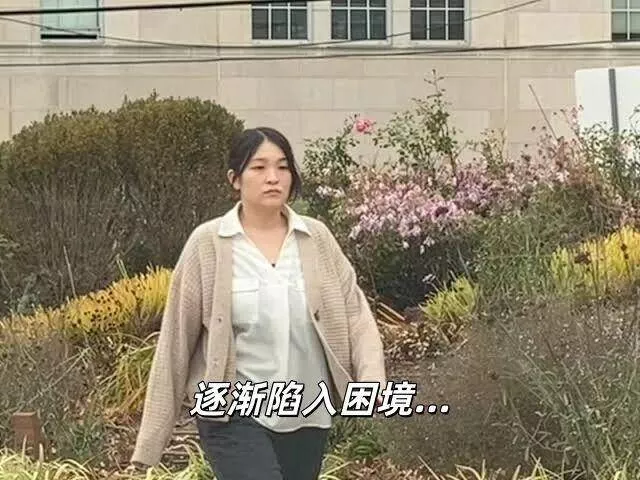 文章配图-24