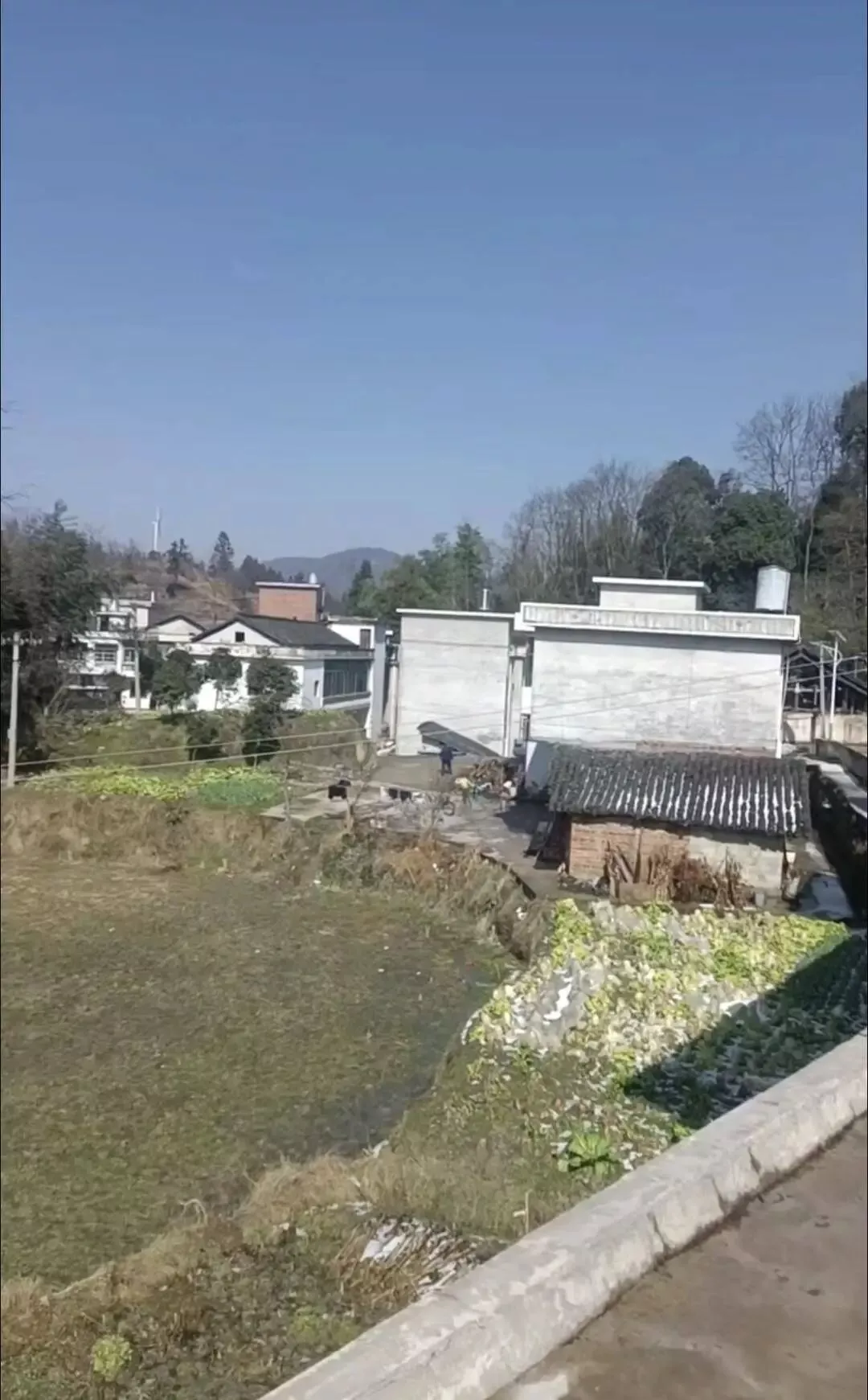 徐女士去到小梁的贵州老家